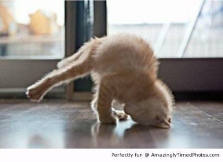 Headstand-resizecrop--