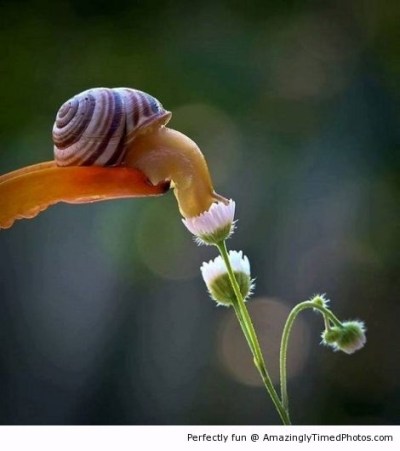 Let-me-smell-the-flower-resizecrop--