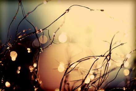 summer_nights__by_incredi-d3gm07g